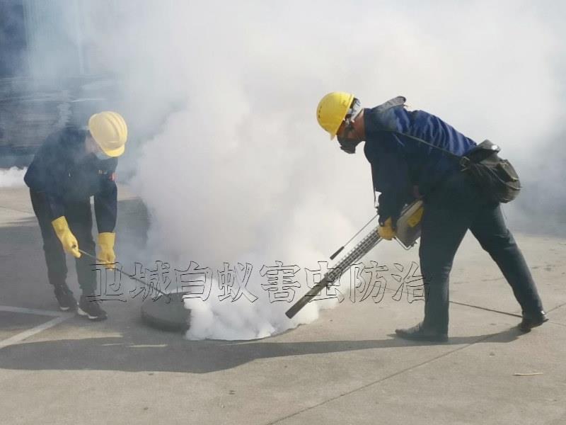 东莞大岭山工厂除四害公司｛大岭山宿舍杀臭虫防治彻底治根｝东莞大朗杀虫灭鼠灭白公司